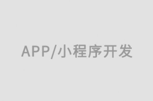 震撼！池州小程序開發制作的未來藍圖，看完熱血沸騰