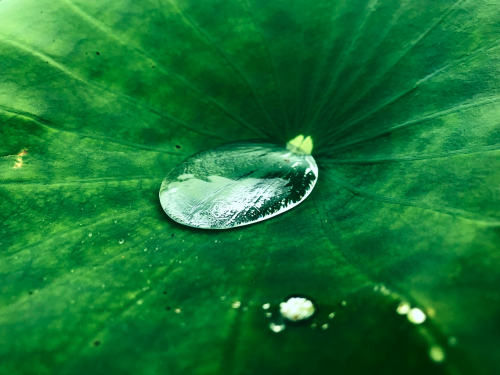 微信小程序開(kāi)發(fā)