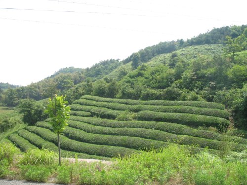雄安小程序開發(fā)