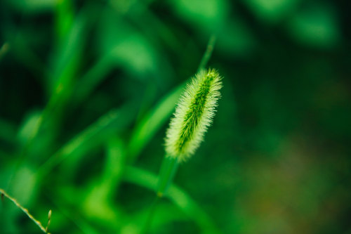 小程序開(kāi)發(fā)