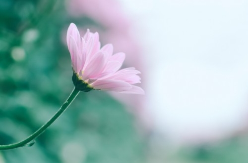 廊坊小程序開發(fā)的主要優(yōu)勢(shì)有哪些？