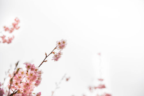 供應(yīng)鏈管理