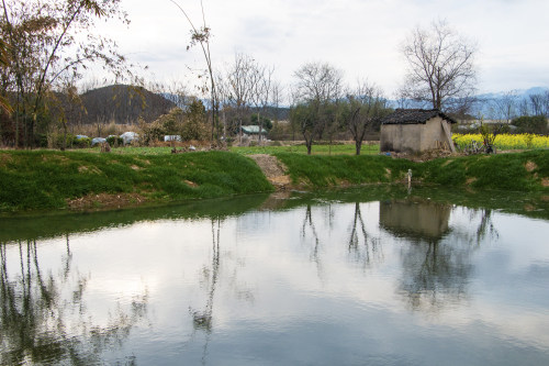 銀川小程序開發(fā)