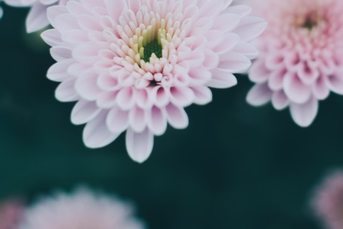 廈門小程序開(kāi)發(fā)