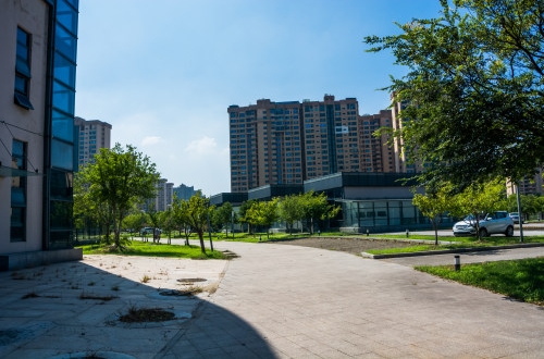 如何利用張家口小程序開發實現低成本高收益？